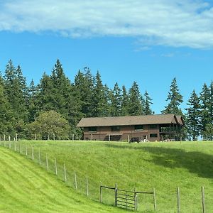 Comforts Of Whidbey